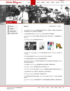 網(wǎng)站設(shè)計(jì)與網(wǎng)頁(yè)設(shè)計(jì) 數(shù)字時(shí)代視覺(jué)與功能的雙重奏